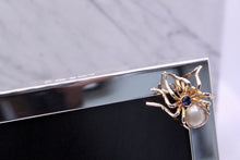 Load image into Gallery viewer, Spider Frame
